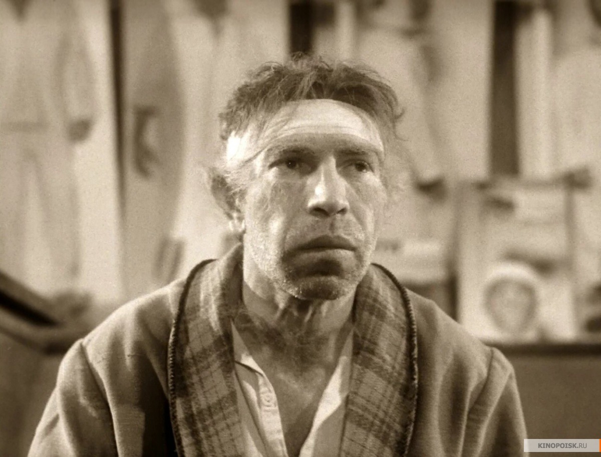 Фото: Собачье сердце