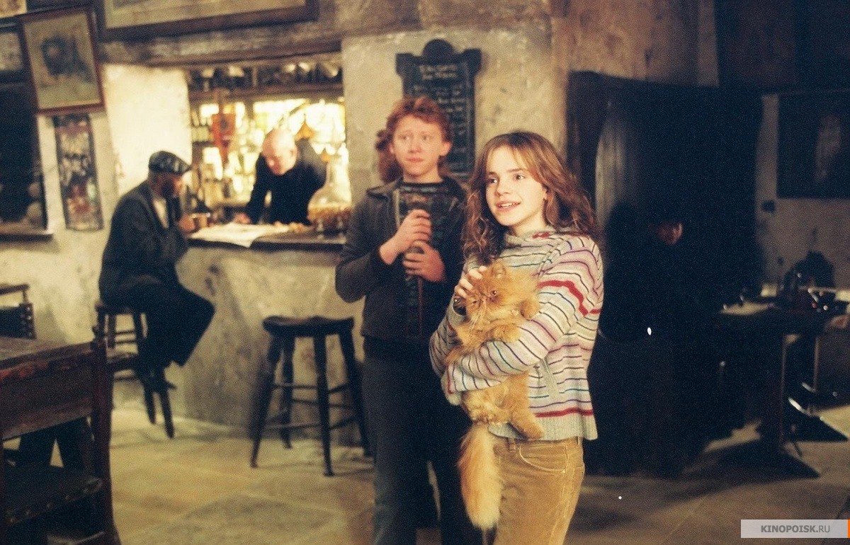 kinopoisk.ru-Harry-Potter-and-the-Prisoner-of-Azkaban-2004519.jpg