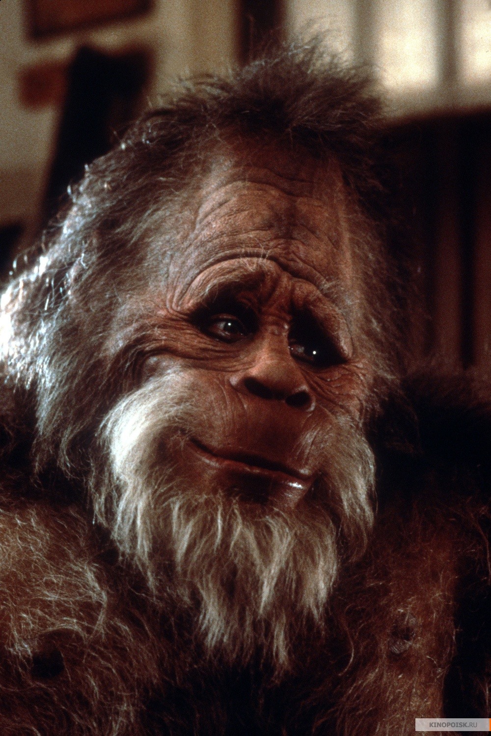 kinopoisk.ru-Harry-and-the-Hendersons-21