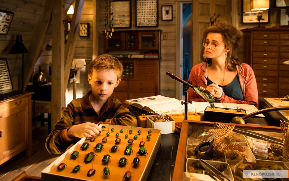 http://st-im.kinopoisk.ru/im/kadr/2/1/2/kinopoisk.ru-The-Young-and-Prodigious-TS-Spivet-2129403.jpg