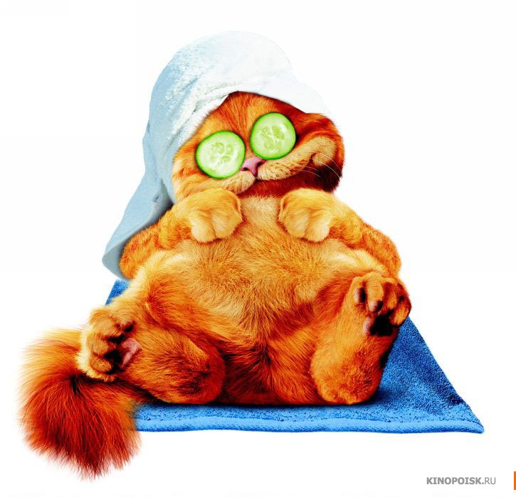 kinopoisk.ru-Garfield_3A-A-Tail-of-Two-Kitties-403142.jpg