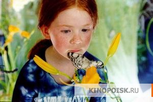 Бабочка