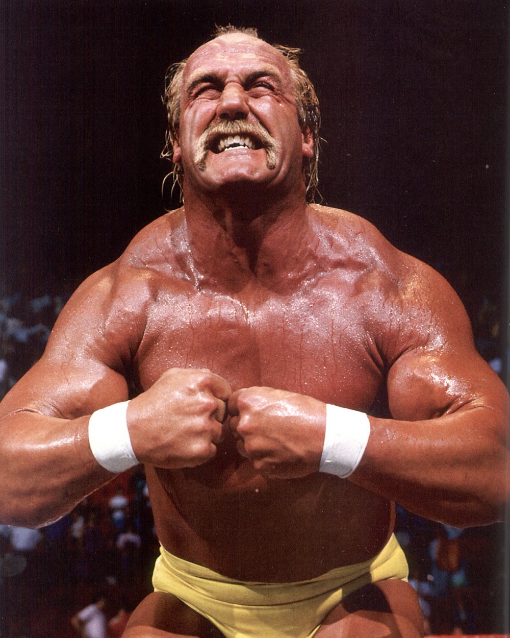 kinopoisk.ru-Hulk-Hogan-575466.jpg